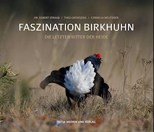 Cover for Egbert Strauß · Faszination Birkhuhn (Book) (2019)