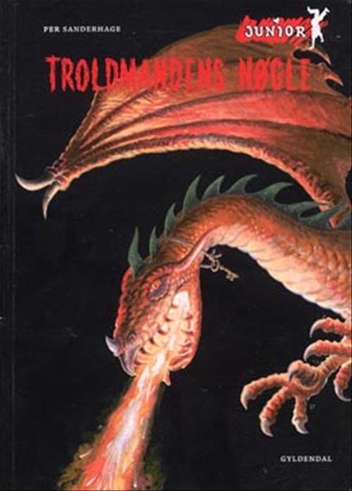 Cover for Per Sanderhage · Dingo. Junior: Troldmandens nøgle (Sewn Spine Book) [2nd edition] (2008)