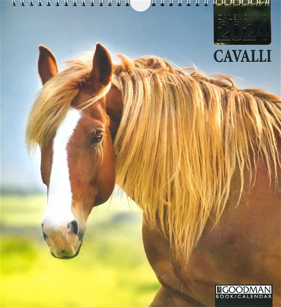 Cover for Aa.Vv. · Calendario Cavalli 2024 (Bok)