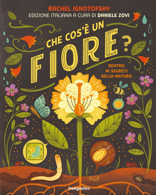 Che Cos'e Un Fiorem Dentro Ai Segreti Della Natura - Rachel Ignotofsky - Böcker -  - 9791221210149 - 