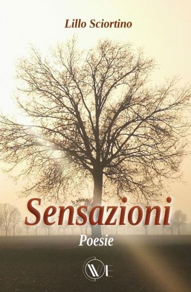 Sensazioni - Lillo Sciortino - Books - Edizioni We - 9791280240149 - November 16, 2020