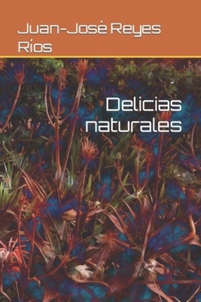 Cover for Juan-Jose Reyes Rios · Delicias naturales (Paperback Book) (2021)