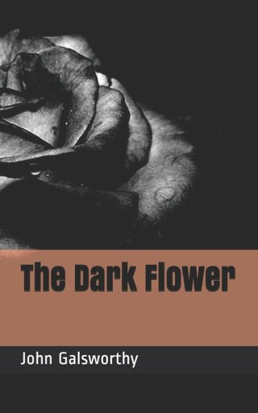 Cover for John Galsworthy · The Dark Flower (Paperback Book) (2021)