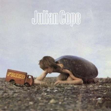Cover for Julian Cope · Fried (LP) [180 gram edition] (2008)
