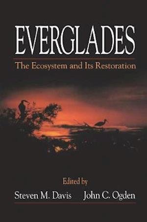 Cover for Steve Davis · Everglades: The Ecosystem and Its Restoration (Pocketbok) (2020)