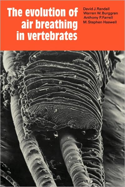 The Evolution of Air Breathing in Vertebrates - David J. Randall - Książki - Cambridge University Press - 9780521107150 - 11 czerwca 2009