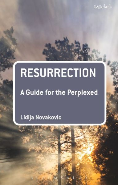 Cover for Novakovic , Dr  Lidija (Baylor University, USA) · Resurrection: A Guide for the Perplexed - Guides for the Perplexed (Paperback Book) (2016)