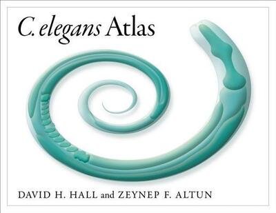 Cover for David Hall · C. Elegans Atlas (Spiralbuch) (2008)