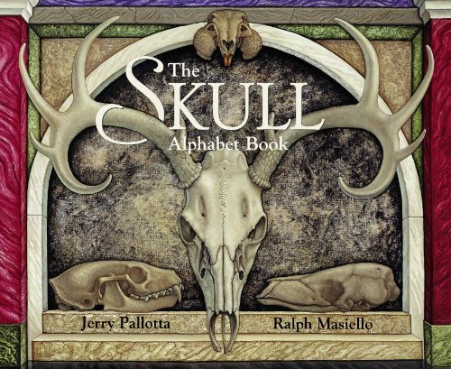 Cover for Jerry Pallotta · The Skull Alphabet Book - Jerry Pallotta's Alphabet Books (Paperback Book) (2002)