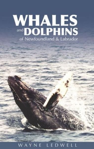 Cover for Wayne Ledwell · Whales &amp; Dolphins of Newfoundland &amp; Labrador (Paperback Book) (2004)