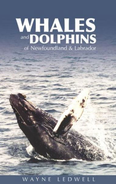 Wayne Ledwell · Whales & Dolphins of Newfoundland & Labrador (Paperback Book) (2004)