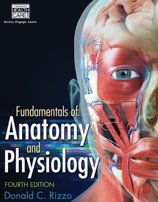 Cover for Rizzo, Donald (Marygrove College) · Fundamentals of Anatomy and Physiology (Paperback Book) (2015)