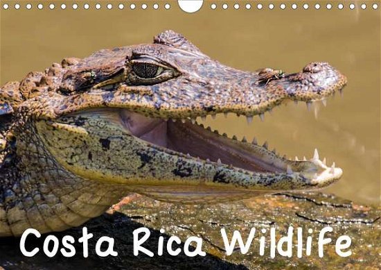 Cover for Pixel · Costa Rica Wildlife (Wall Calenda (Bog)