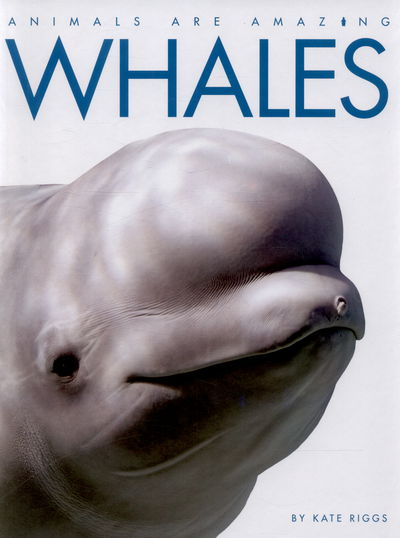 Cover for Kate Riggs · Animals Are Amazing: Whales - Animals Are Amazing (Hardcover Book) [Illustrated edition] (2015)