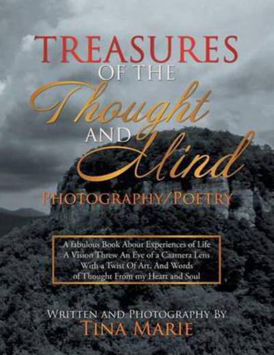 Cover for Tina Marie · Treasures of the Thought and Mind (Paperback Book) (2013)