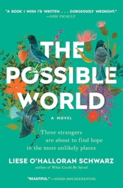 Cover for Liese O'Halloran Schwarz · The Possible World: A Novel (Paperback Book) [First Scribner hardcover edition. edition] (2019)