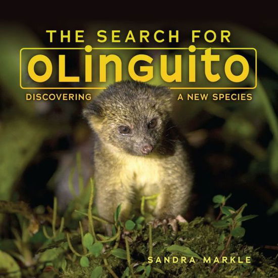 Cover for Sandra Markle · The search for Olinguito (Book) (2017)