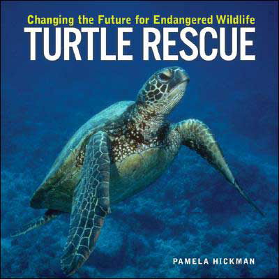 Cover for Pamela Hickman · Turtle Rescue: Changing the Future for Endangered Wildlife (Paperback Book) (2005)