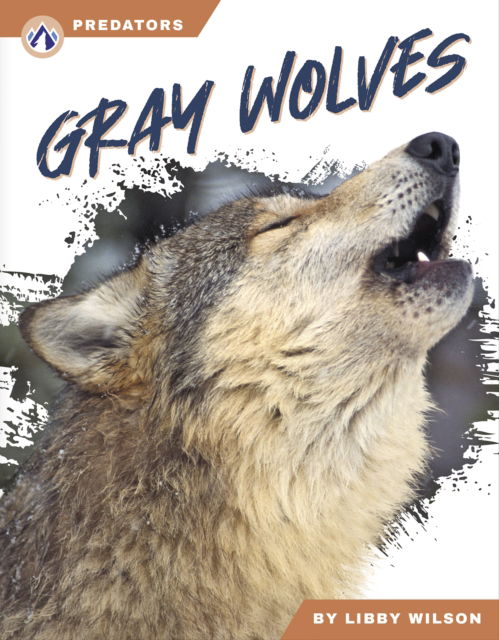 Cover for Libby Wilson · Gray Wolves - Predators (Paperback Book) (2024)