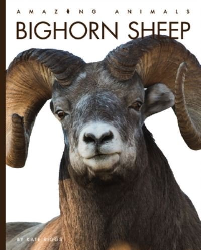 Cover for Kate Riggs · Bighorn Sheep (Book) (2023)