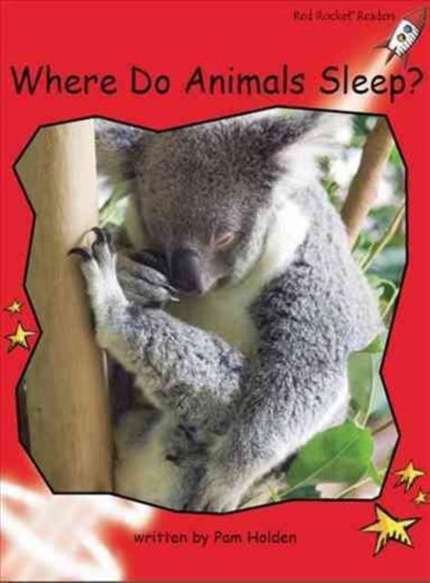 Red Rocket Readers: Early Level 1 Non-Fiction Set C: Where Do Animals Sleep? - Pam Holden - Books - Flying Start Books Ltd - 9781776540150 - January 21, 2014