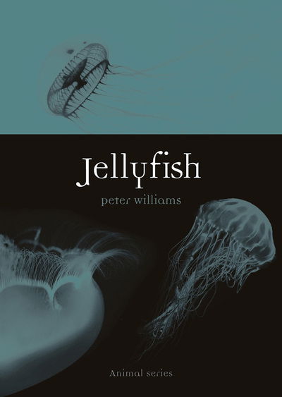Cover for Peter Williams · Jellyfish - Animal (Paperback Bog) (2020)