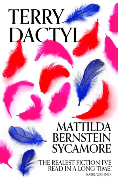 Cover for Mattilda Bernstein Sycamore · Terry Dactyl (Paperback Bog) (2025)