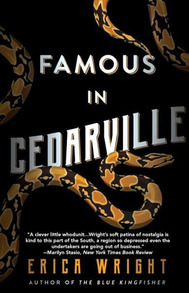 Cover for Erica Wright · Famous in Cedarville (Paperback Book) (2020)