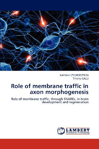 Cover for Thierry Galli · Role of Membrane Traffic in Axon Morphogenesis: Role of Membrane Traffic, Through Snares, in Brain Development and Regeneration (Paperback Book) (2012)