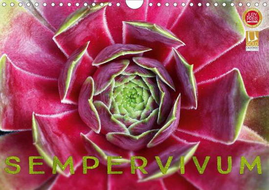 Cover for Cross · Sempervivum - Hauswurz (Wandkalen (Book)