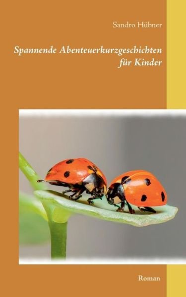 Cover for Hübner · Spannende Abenteuerkurzgeschicht (Book) (2019)