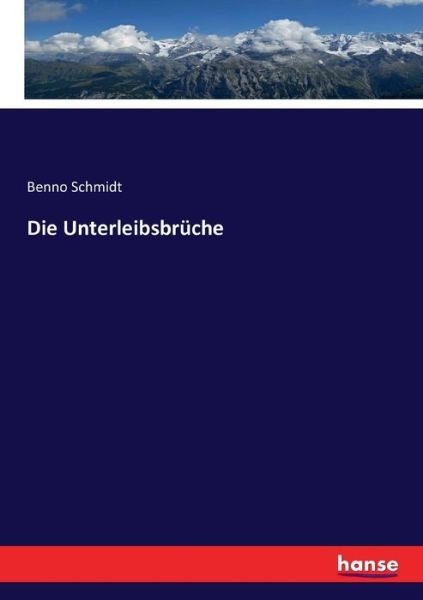 Cover for Schmidt · Die Unterleibsbrüche (Buch) (2016)