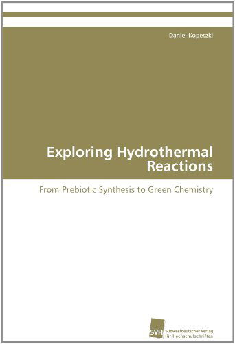 Cover for Daniel Kopetzki · Exploring Hydrothermal Reactions: from Prebiotic Synthesis to Green Chemistry (Paperback Book) (2011)