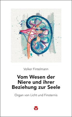 Cover for Volker Fintelmann · Vom Wesen der Niere und ihrer Beziehung zur Seele (Book) (2024)