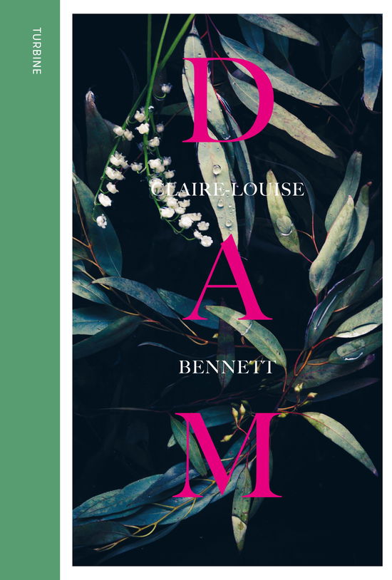 Cover for Claire-Louise Bennet · Dam (Sewn Spine Book) [1. Painos] (2018)