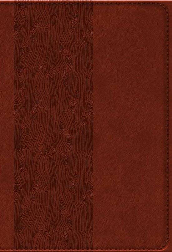 Cover for Bibelen på Hverdagsdansk, brun, PU (Inbunden Bok) (2023)