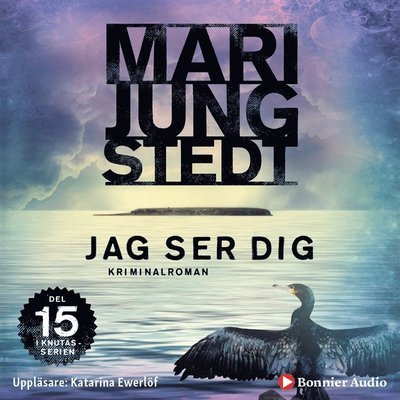 Cover for Mari Jungstedt · Anders Knutas: Jag ser dig (Audiobook (MP3)) (2019)