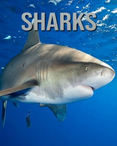 Cover for Joe Murphy · Sharks (Paperback Book) (2020)