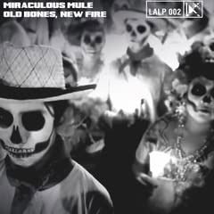 Old Bones, New Fire - Miraculous Mule - Musique - JUKE JOINT 500 - 4015698695151 - 12 août 2022