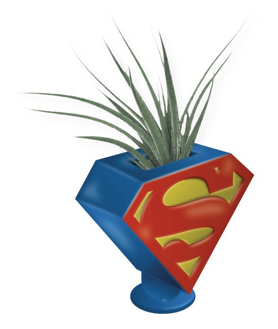 Cover for Dc Comics: Half Moon Bay · Superman Logo (Planter / Vaso) (MERCH)