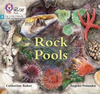 Cover for Catherine Baker · Rock Pools: Phase 3 Set 1 - Big Cat Phonics for Little Wandle Letters and Sounds Revised (Paperback Book) (2021)