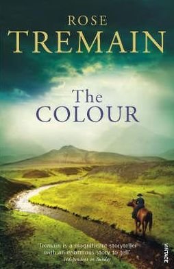 Cover for Rose Tremain · The Colour (Paperback Bog) (2004)