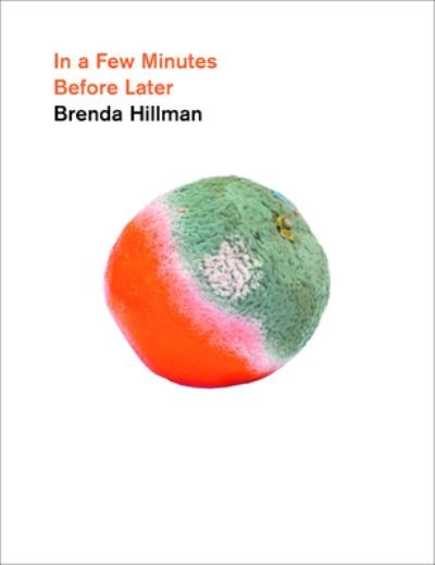 Cover for Brenda Hillman · In a Few Minutes Before Later - Wesleyan Poetry Series (Hardcover Book) (2022)