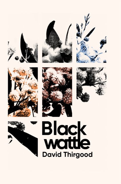 David Thirgood · Blackwattle (Paperback Book) (2024)