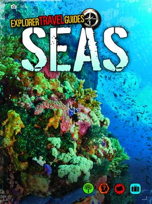 Cover for Nick Hunter · Seas (Hardcover Book) (2013)