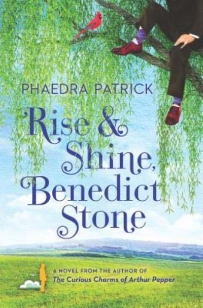 Cover for Phaedra Patrick · Rise and Shine, Benedict Stone (Book) (2017)