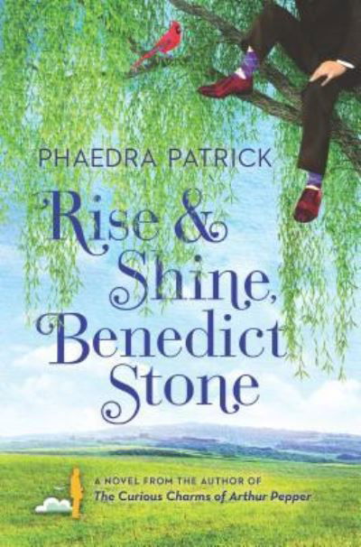 Cover for Phaedra Patrick · Rise and Shine, Benedict Stone (Buch) (2017)