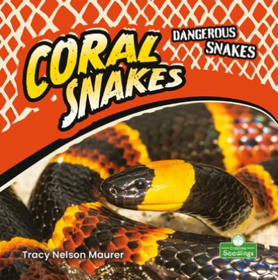 Cover for Tracy Nelson Maurer · Coral Snakes (Paperback Book) (2021)