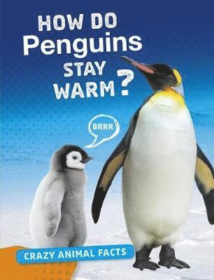 Cover for Nancy Furstinger · How Do Penguins Stay Warm? (Hardcover Book) (2019)