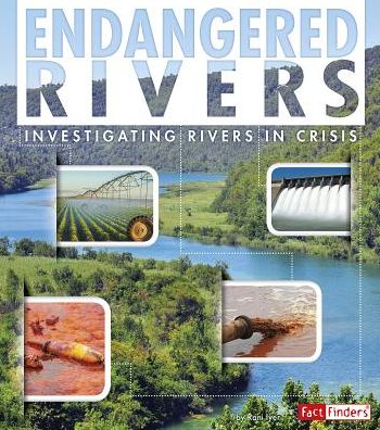 Cover for Rani Iyer · Rivers - Endangered Earth (Paperback Book) (2015)